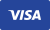 Pay with Visa